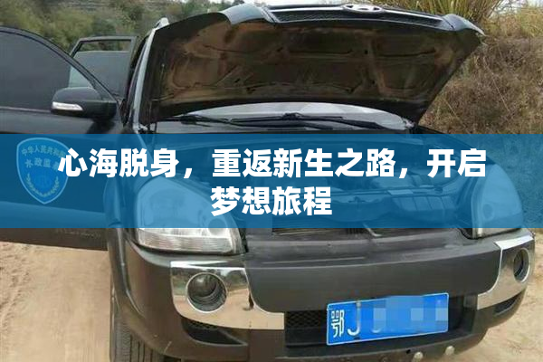 心海脱身，重返新生之路，开启梦想旅程