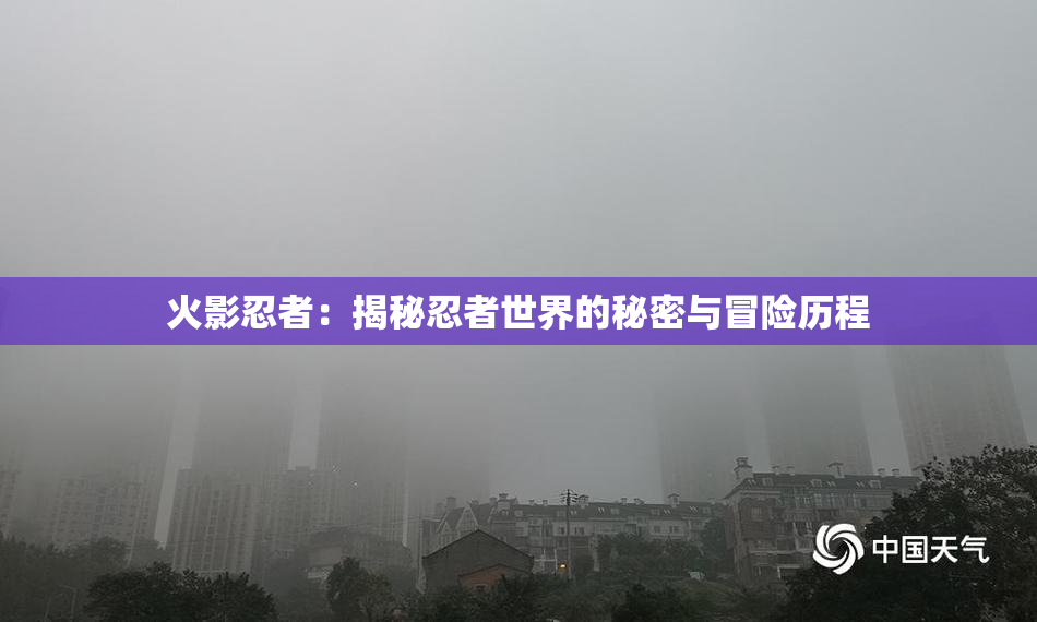 火影忍者：揭秘忍者世界的秘密与冒险历程