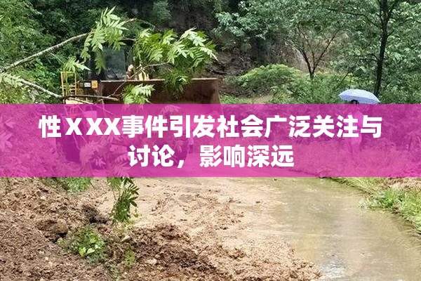 性ⅩXX事件引发社会广泛关注与讨论，影响深远
