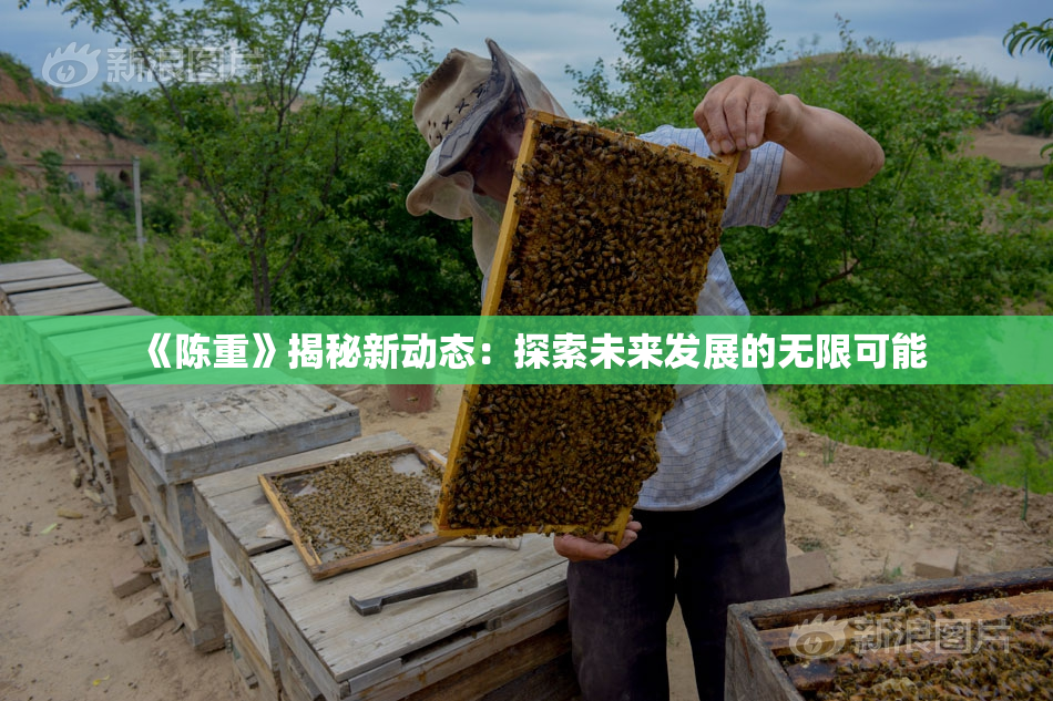 《陈重》揭秘新动态：探索未来发展的无限可能