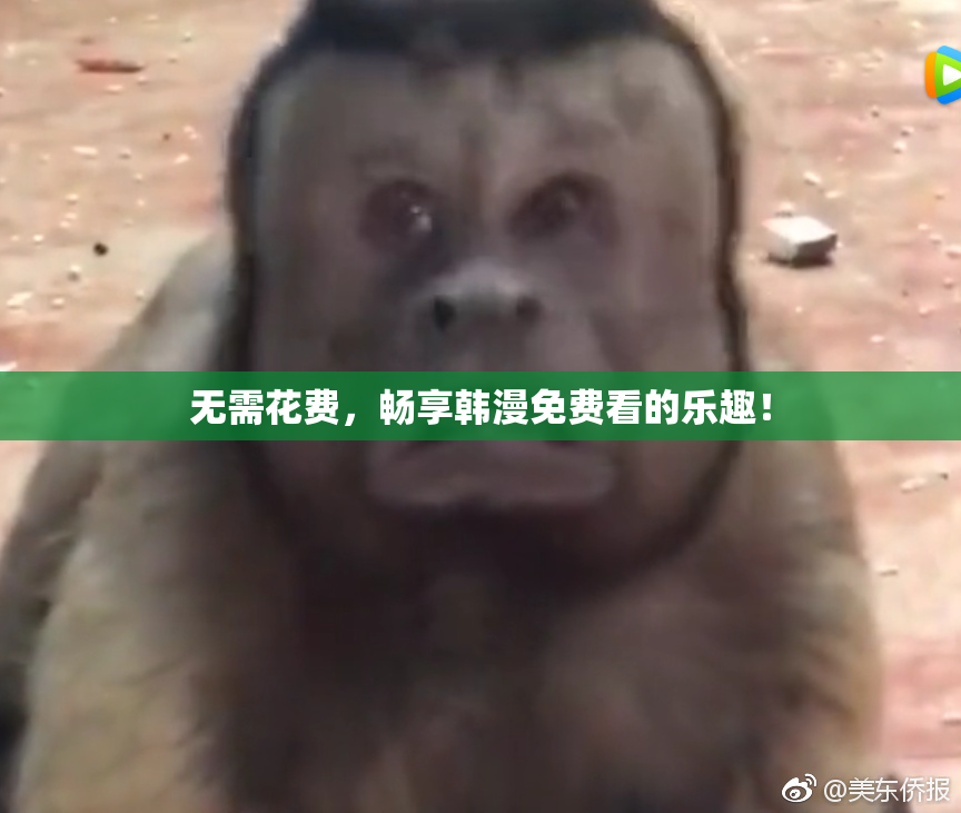 无需花费，畅享韩漫免费看的乐趣！