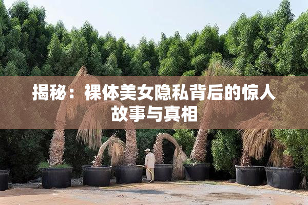 揭秘：裸体美女隐私背后的惊人故事与真相