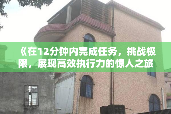 《在12分钟内完成任务，挑战极限，展现高效执行力的惊人之旅》