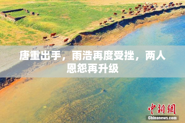 唐重出手，雨浩再度受挫，两人恩怨再升级