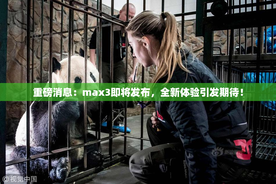 重磅消息：max3即将发布，全新体验引发期待！