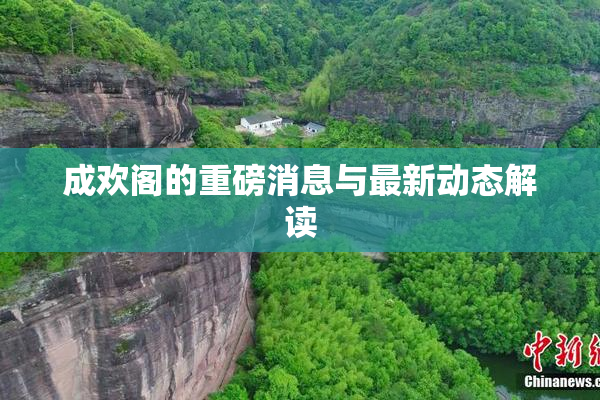 成欢阁的重磅消息与最新动态解读