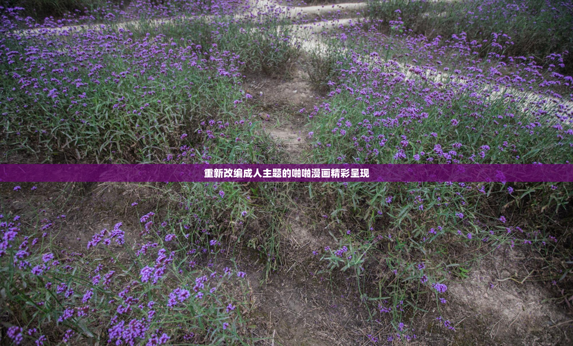 重新改编成人主题的啪啪漫画精彩呈现