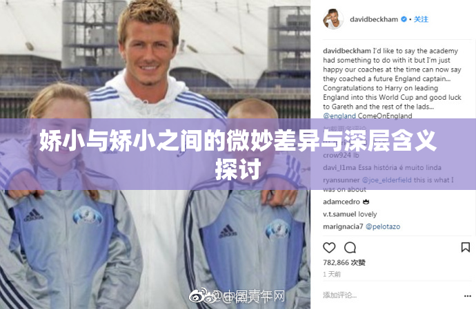 娇小与矫小之间的微妙差异与深层含义探讨