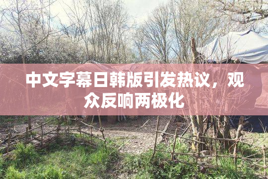 中文字幕日韩版引发热议，观众反响两极化
