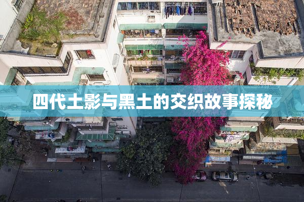 四代土影与黑土的交织故事探秘