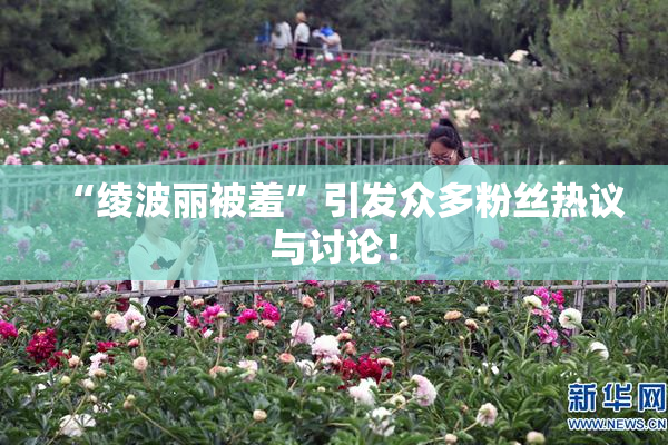“绫波丽被羞”引发众多粉丝热议与讨论！