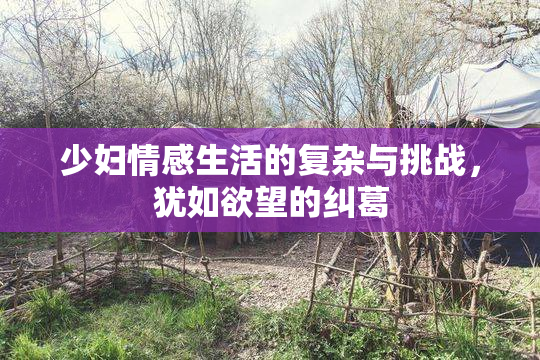 少妇情感生活的复杂与挑战，犹如欲望的纠葛