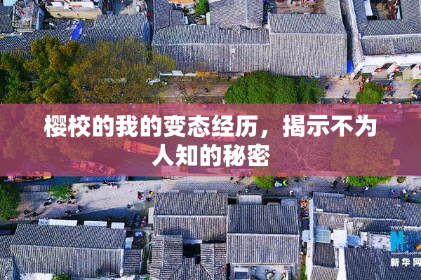 樱校的我的变态经历，揭示不为人知的秘密