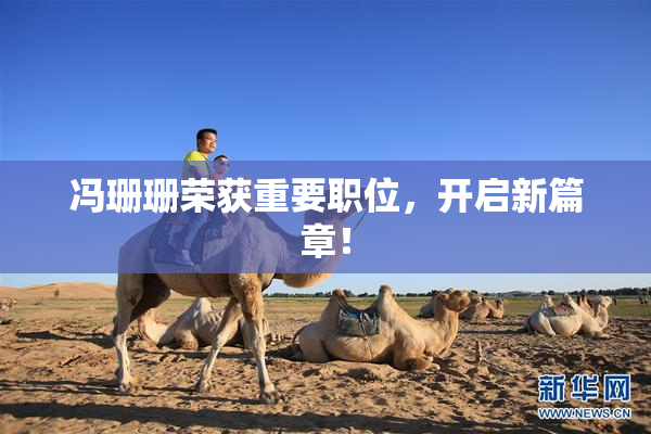 冯珊珊荣获重要职位，开启新篇章！