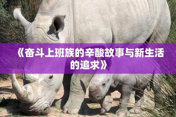 《奋斗上班族的辛酸故事与新生活的追求》