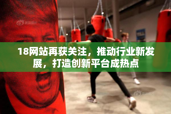 18网站再获关注，推动行业新发展，打造创新平台成热点