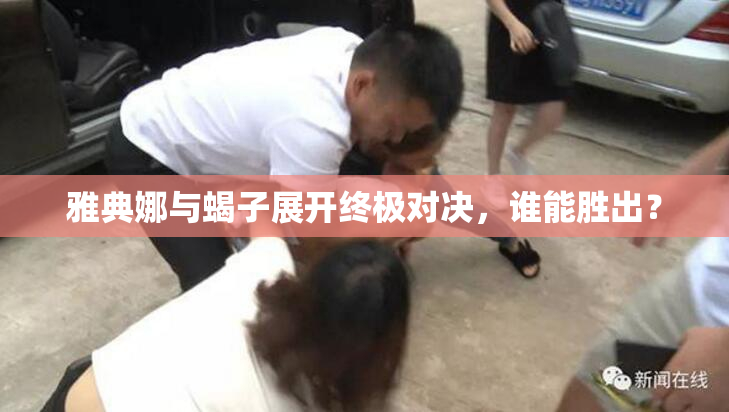 雅典娜与蝎子展开终极对决，谁能胜出？