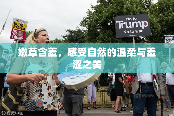 嫩草含羞，感受自然的温柔与羞涩之美