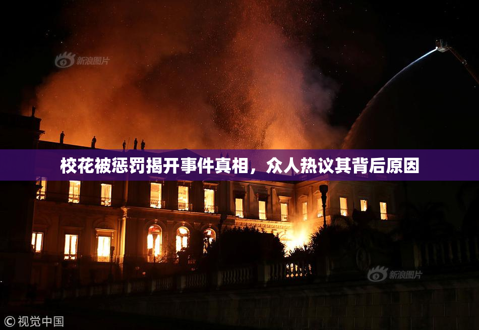 校花被惩罚揭开事件真相，众人热议其背后原因