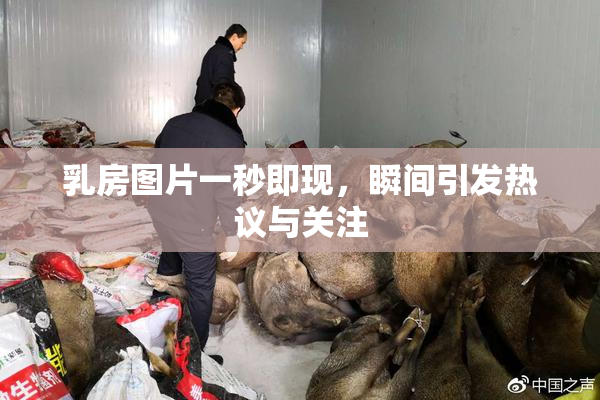乳房图片一秒即现，瞬间引发热议与关注