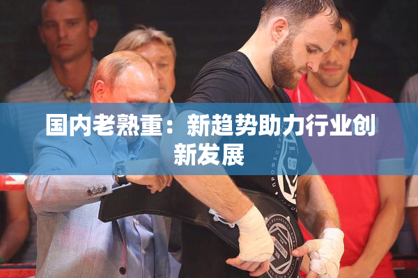 国内老熟重：新趋势助力行业创新发展