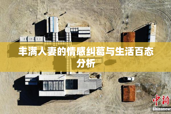 丰满人妻的情感纠葛与生活百态分析