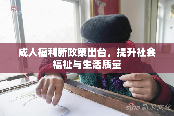 成人福利新政策出台，提升社会福祉与生活质量
