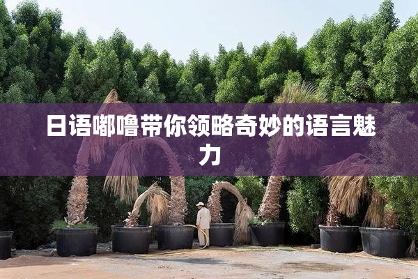 日语嘟噜带你领略奇妙的语言魅力