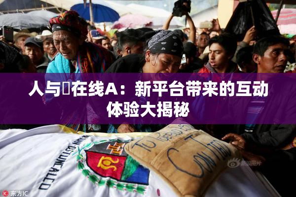 人与嘼在线A：新平台带来的互动体验大揭秘