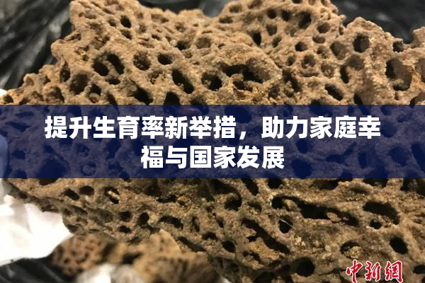 提升生育率新举措，助力家庭幸福与国家发展