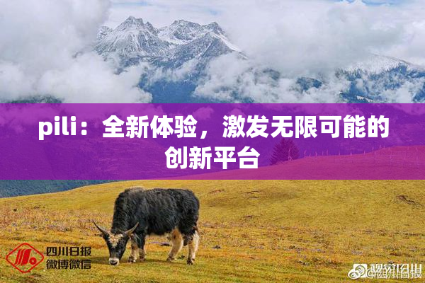 pili：全新体验，激发无限可能的创新平台