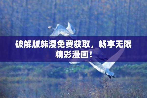 破解版韩漫免费获取，畅享无限精彩漫画！