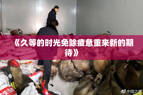 《久等的时光免除疲惫重来新的期待》