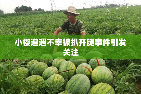 小樱遭遇不幸被扒开腿事件引发关注