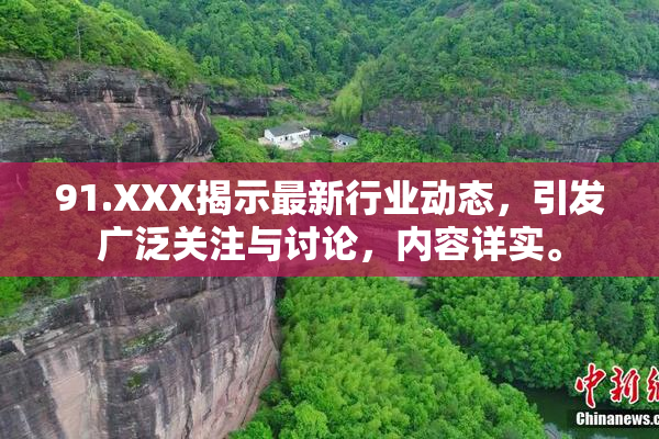 91.XXX揭示最新行业动态，引发广泛关注与讨论，内容详实。