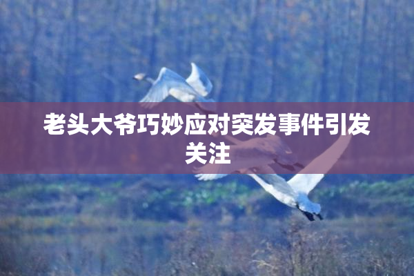 老头大爷巧妙应对突发事件引发关注