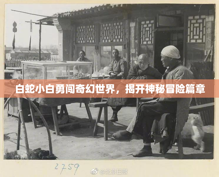 白蛇小白勇闯奇幻世界，揭开神秘冒险篇章