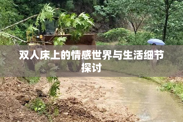 双人床上的情感世界与生活细节探讨
