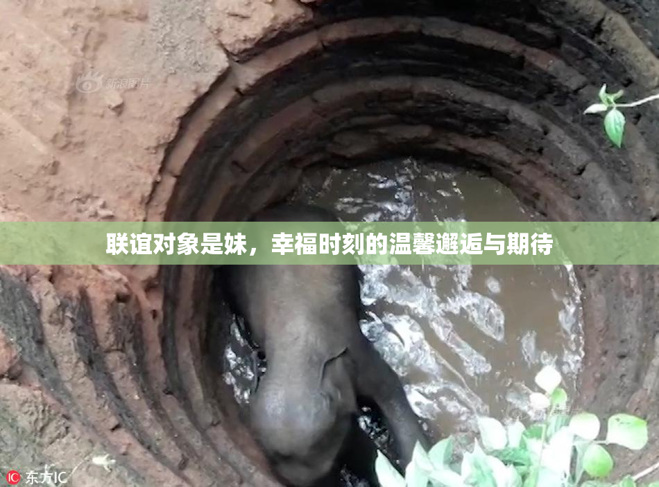联谊对象是妹，幸福时刻的温馨邂逅与期待