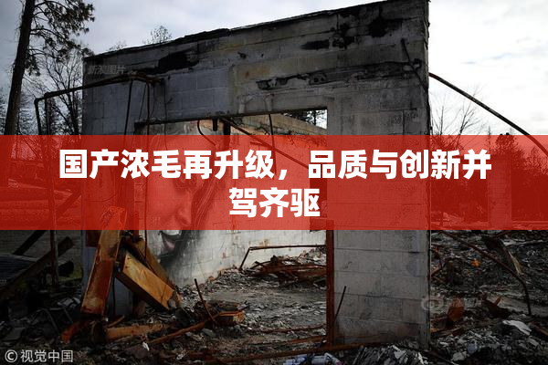 国产浓毛再升级，品质与创新并驾齐驱