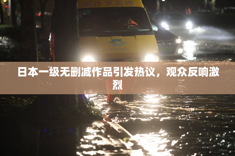 日本一级无删减作品引发热议，观众反响激烈
