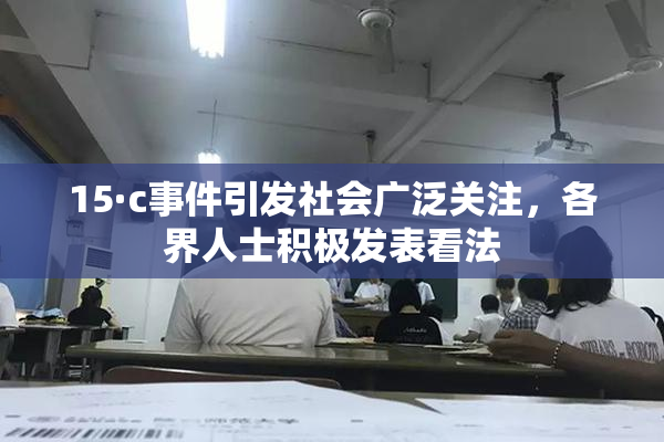 15·c事件引发社会广泛关注，各界人士积极发表看法