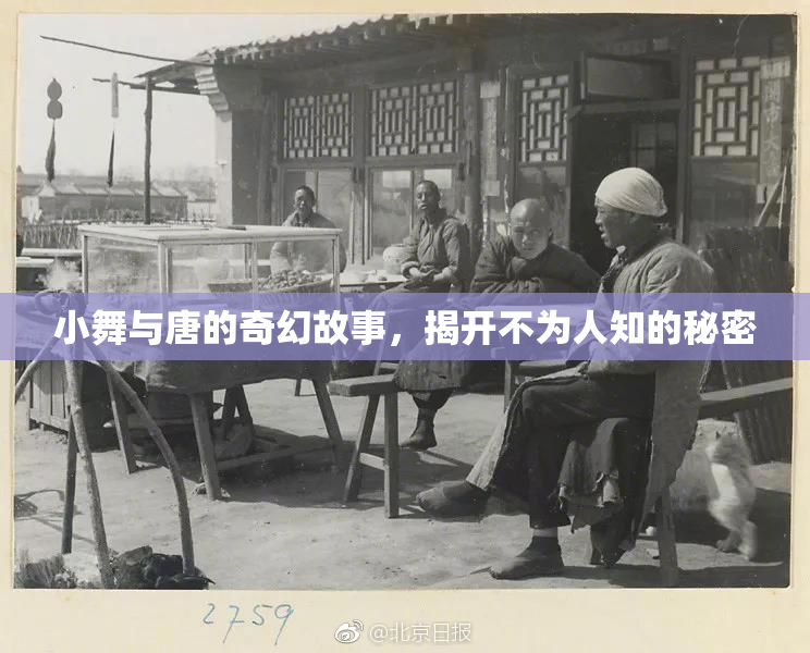 小舞与唐的奇幻故事，揭开不为人知的秘密