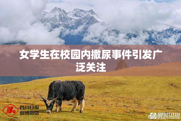 女学生在校园内撒尿事件引发广泛关注