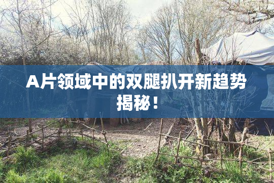 A片领域中的双腿扒开新趋势揭秘！