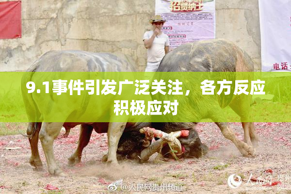 9.1事件引发广泛关注，各方反应积极应对