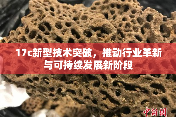 17c新型技术突破，推动行业革新与可持续发展新阶段