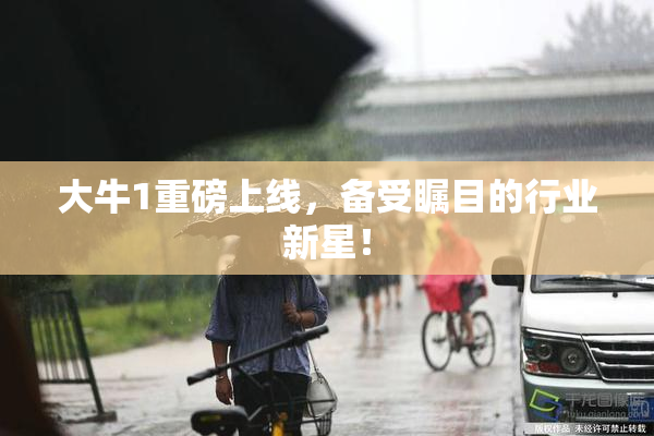 大牛1重磅上线，备受瞩目的行业新星！