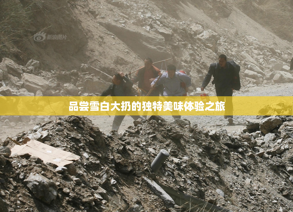 品尝雪白大扔的独特美味体验之旅