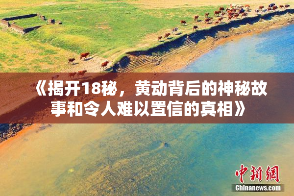 《揭开18秘，黄动背后的神秘故事和令人难以置信的真相》